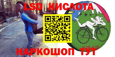 шишки Бузулук