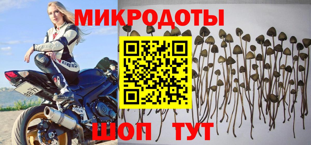 Псилоцибиновые грибы мухоморы Рубцовск